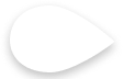 Wheel pointer